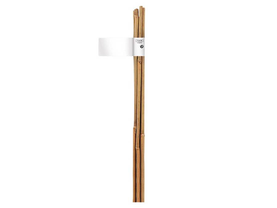 Nortène - Tuteur bambou naturel - NORTENE
