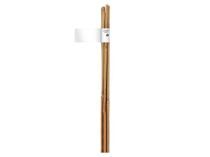 Nortène - Tuteur de jardin bambou naturel H 210 cm - NORTENE