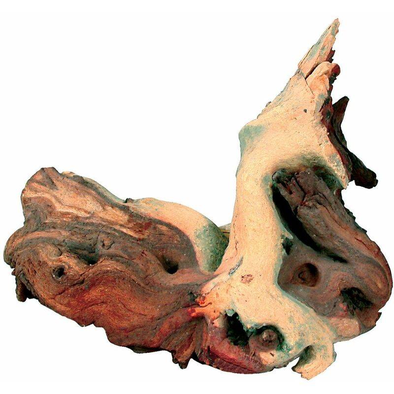 Zolux - Racine Maupani Small - Imagen 4