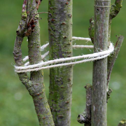 La Cordeline - Pelote de Sisal – LA CORDELINE - Image 2