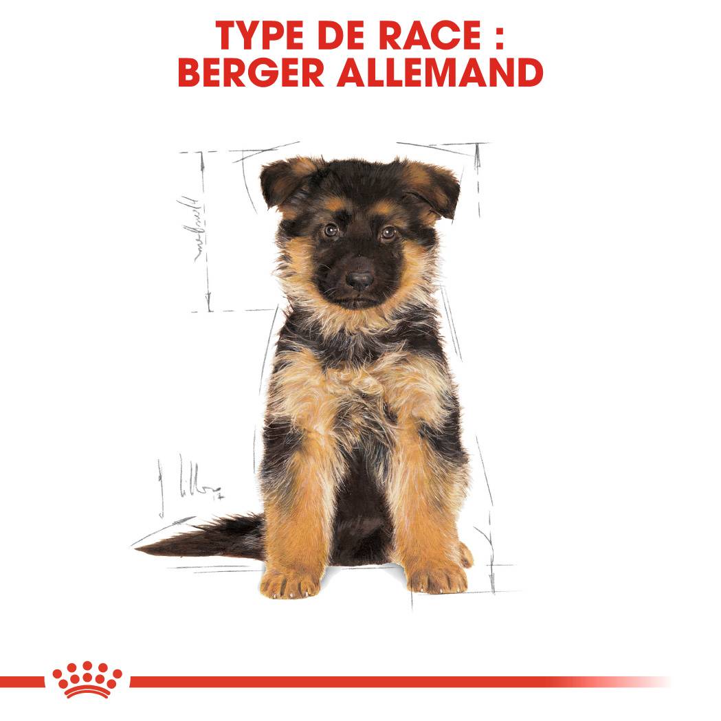 Royal Canin - Croquettes Chiot - ROYAL CANIN - Image 12