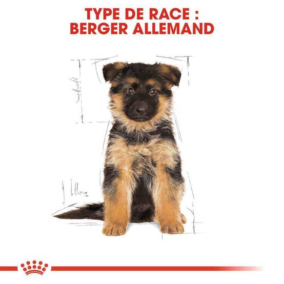 Royal Canin - Croquettes Chiot - ROYAL CANIN - Image 16