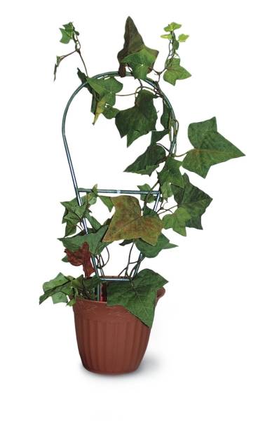 Windhager - Tuteur Arceau Plastique Vert - L.44 x l.19 x H.44 cm - Image 2