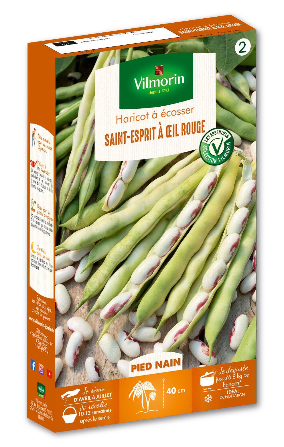 Vilmorin - Haricot à Ecosser Saint-Esprit à Œil Rouge serie 2 boîte graines 200 g - Vilmorin - Image 2