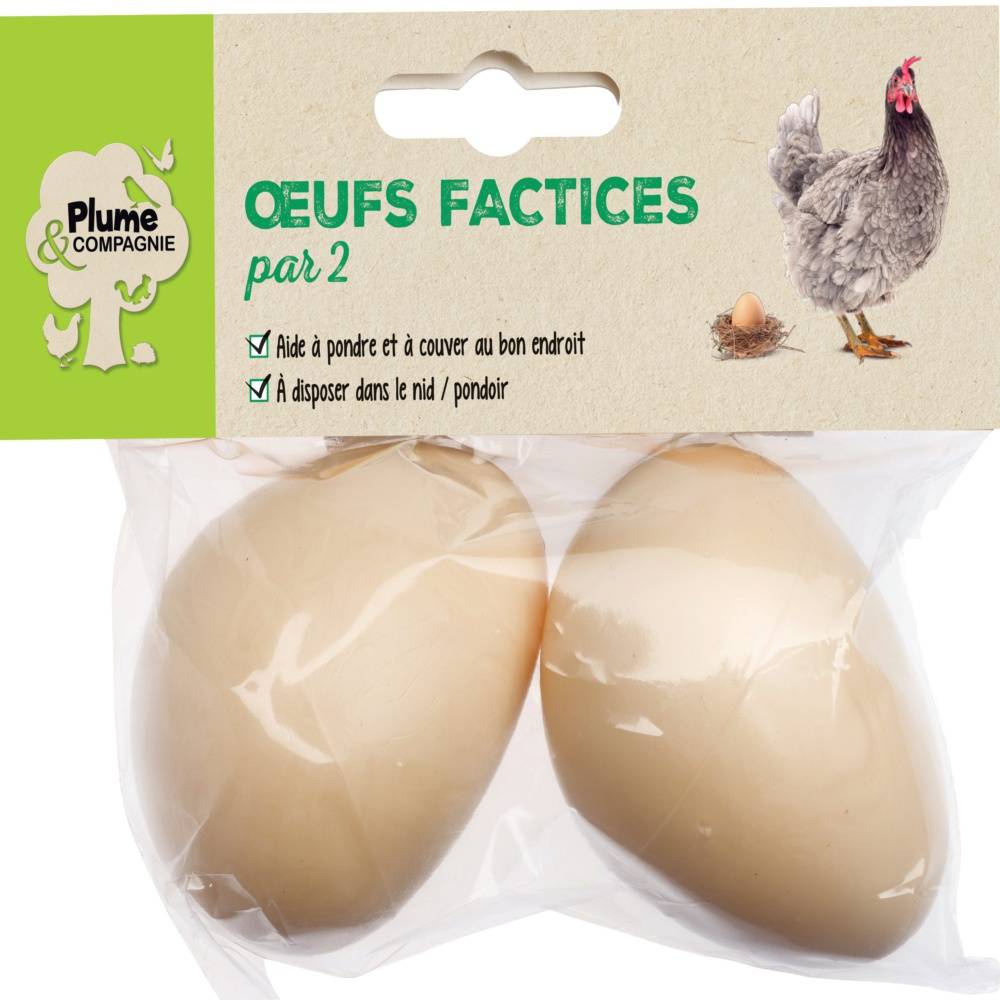 Plume & compagnie - Huevos falsos Accesorios – PLUME & COMPAGNIE