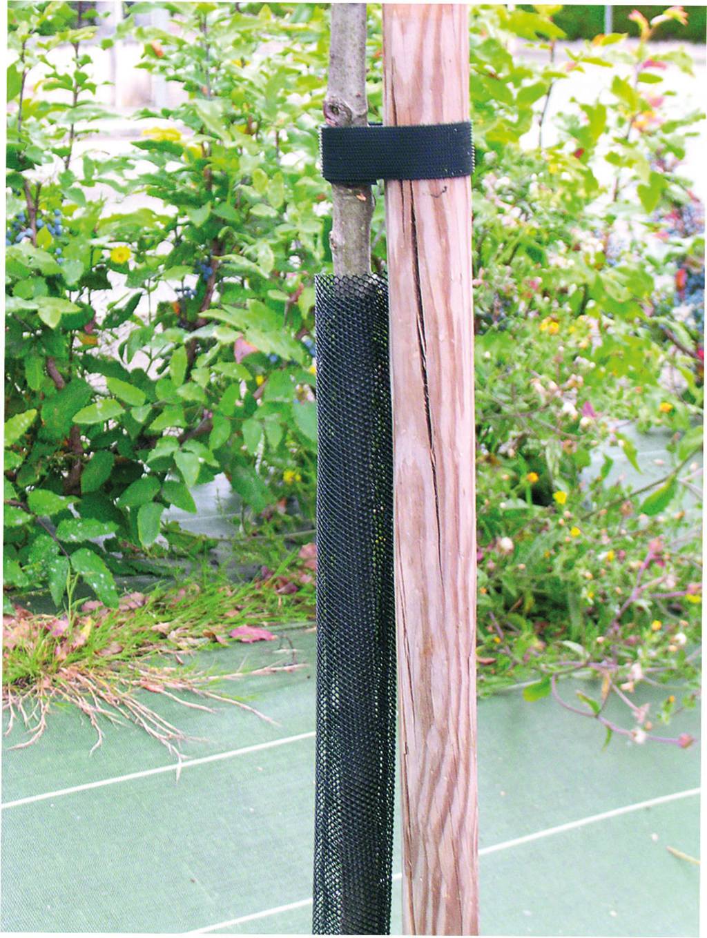 Nortène - Mangas de Protección Anti-Roedores y Caza Polipropileno Negro 10x55 cm – NORTENE - Imagen 3