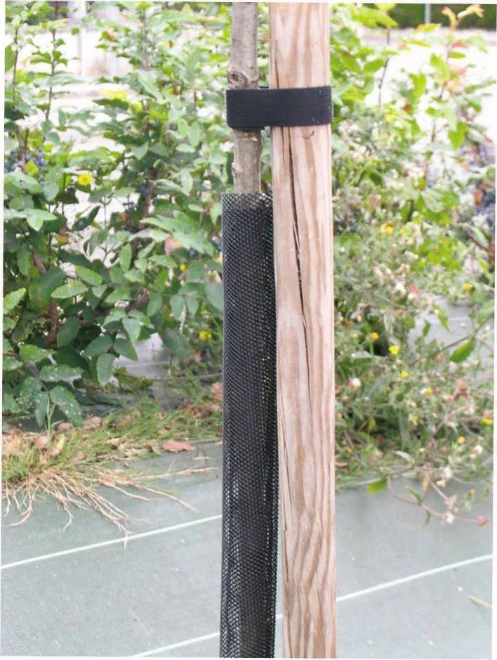 Nortène - Mangas de Protección Anti-Roedores y Caza Polipropileno Negro 10x55 cm – NORTENE - Imagen 4
