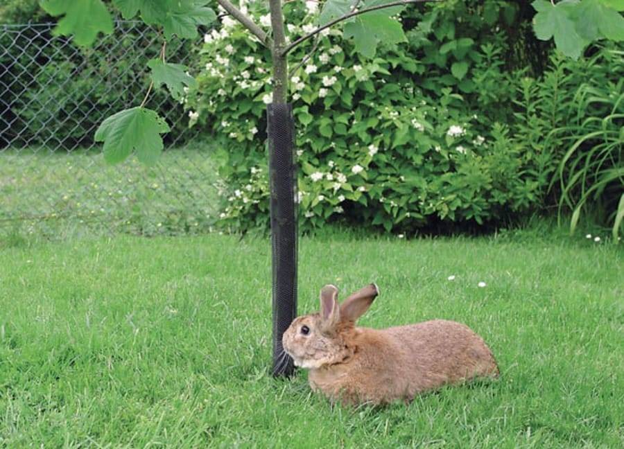 Nortène - Protector para árboles - NORTENE