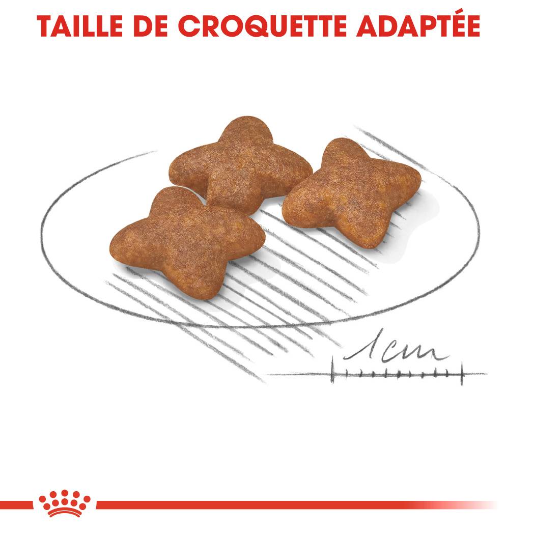 Royal Canin - Croquettes Mini Adult Chien ROYAL CANIN - Image 2