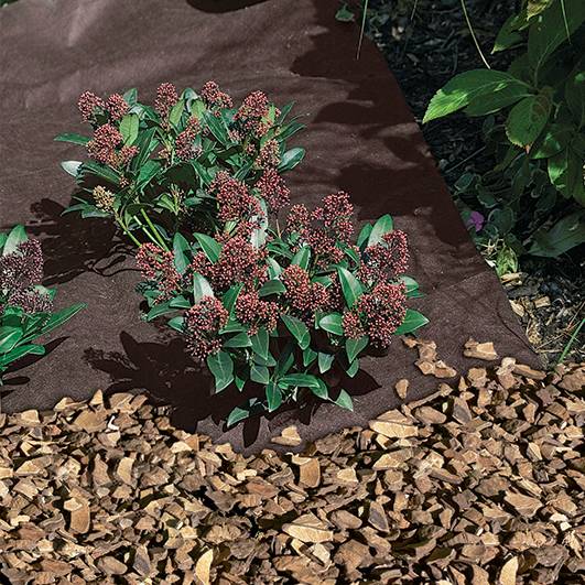 Nortène - ANTIHERBAS GEOTEX  Feutre  paillage PP non tissé  Marron 1,60x10m - Imagen 1