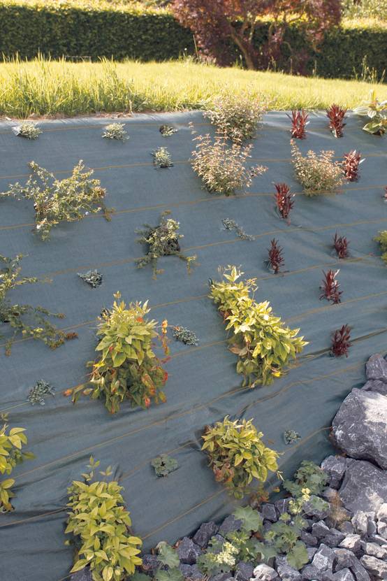 Nortène - Toile de Paillage - AGROSOL - Image 3