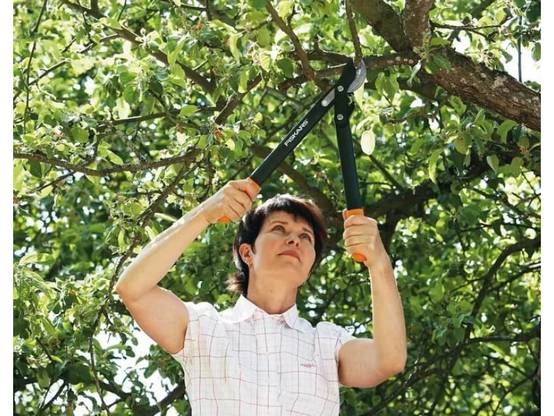 Coupe-branches PowerGear - FISKARS - Image 9