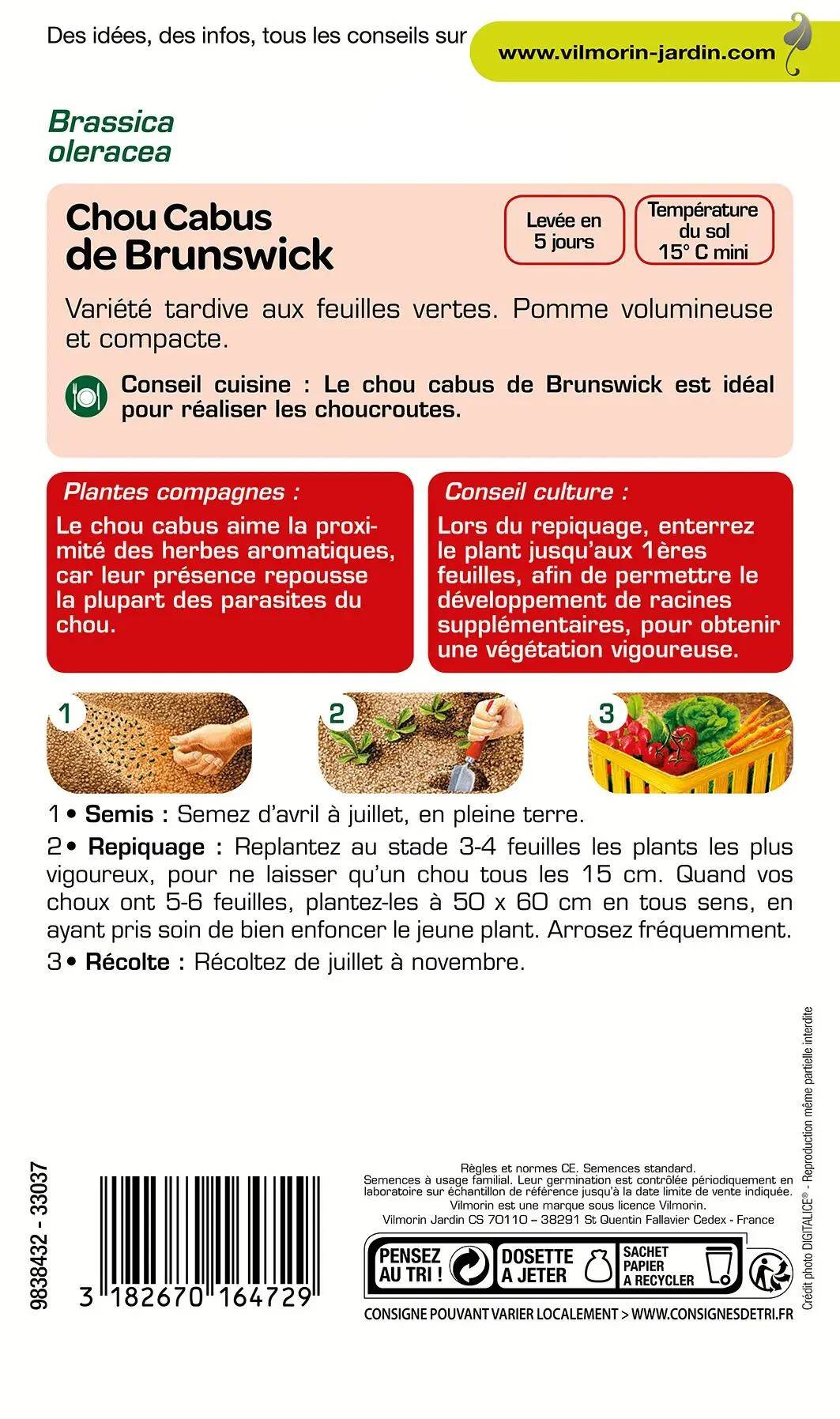 Vilmorin - Chou pommé de Brunswick série 0 sachet graines 2 g - Vilmorin