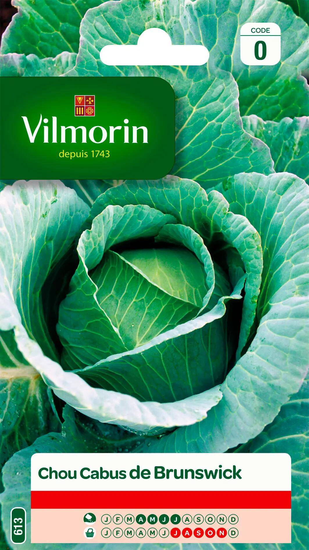 Vilmorin - Chou pommé de Brunswick série 0 sachet graines 2 g - Vilmorin - Image 2