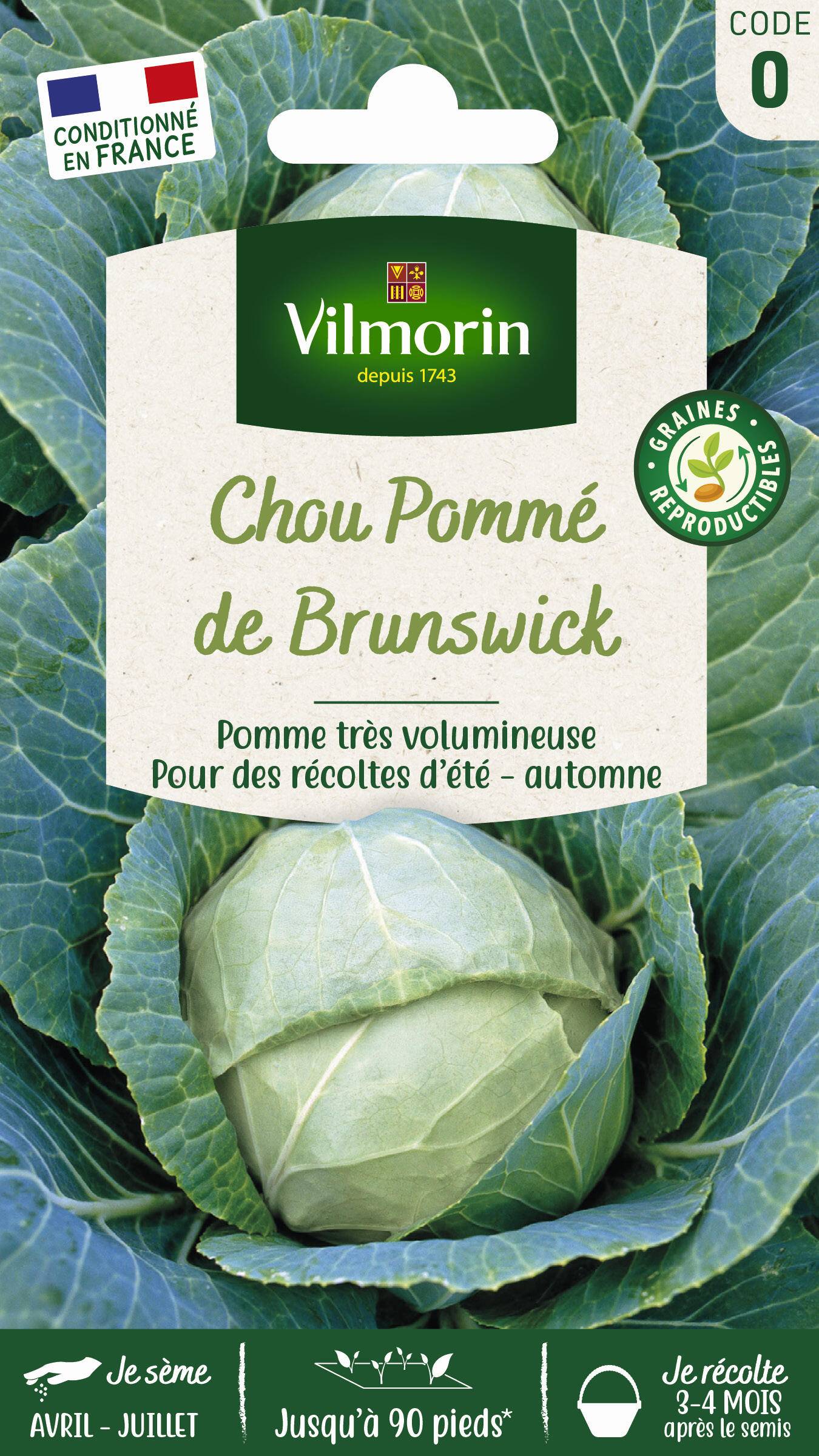 Vilmorin - Chou pommé de Brunswick série 0 sachet graines 2 g - Vilmorin - Image 3