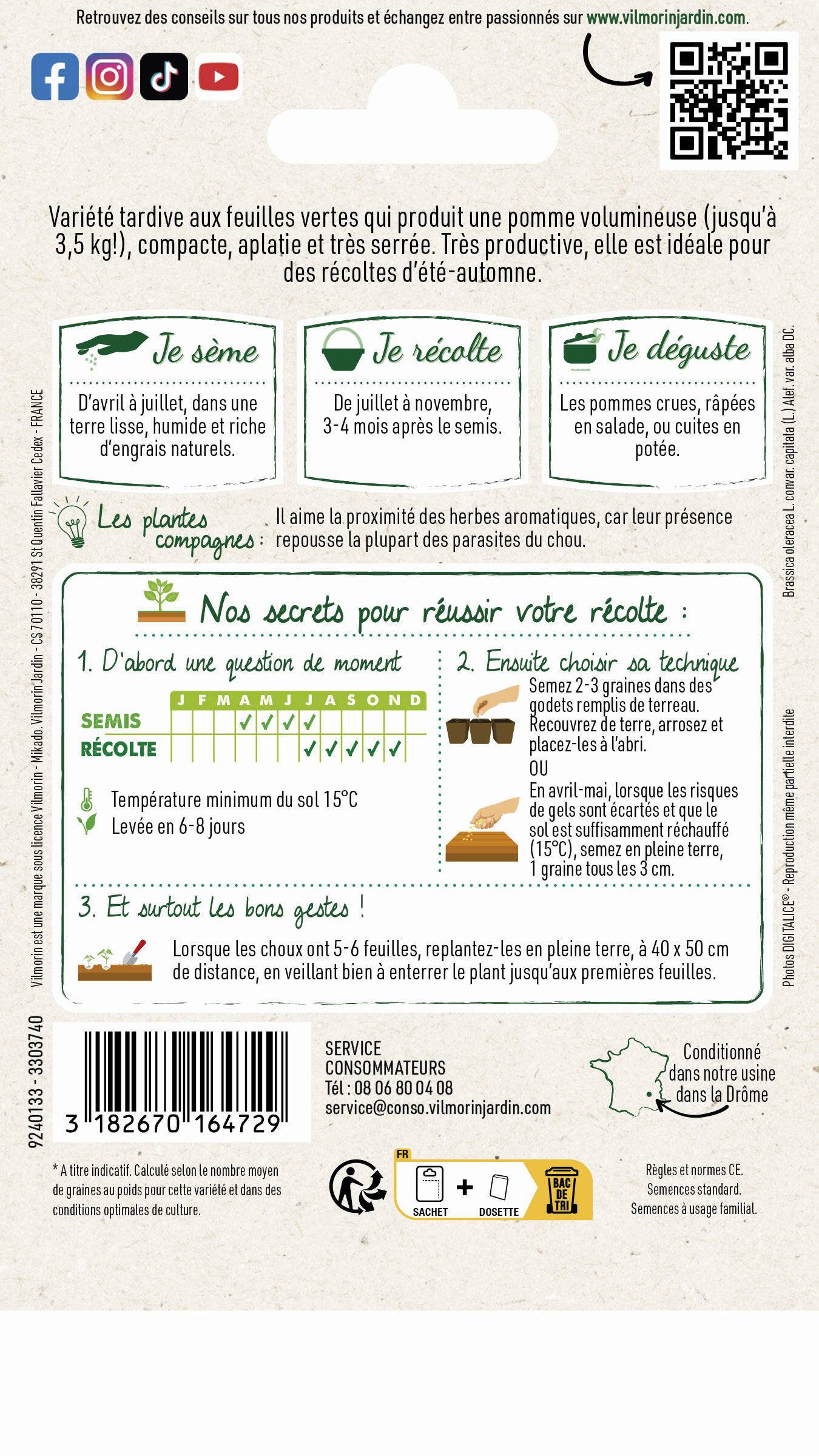 Vilmorin - Chou pommé de Brunswick série 0 sachet graines 2 g - Vilmorin - Image 4