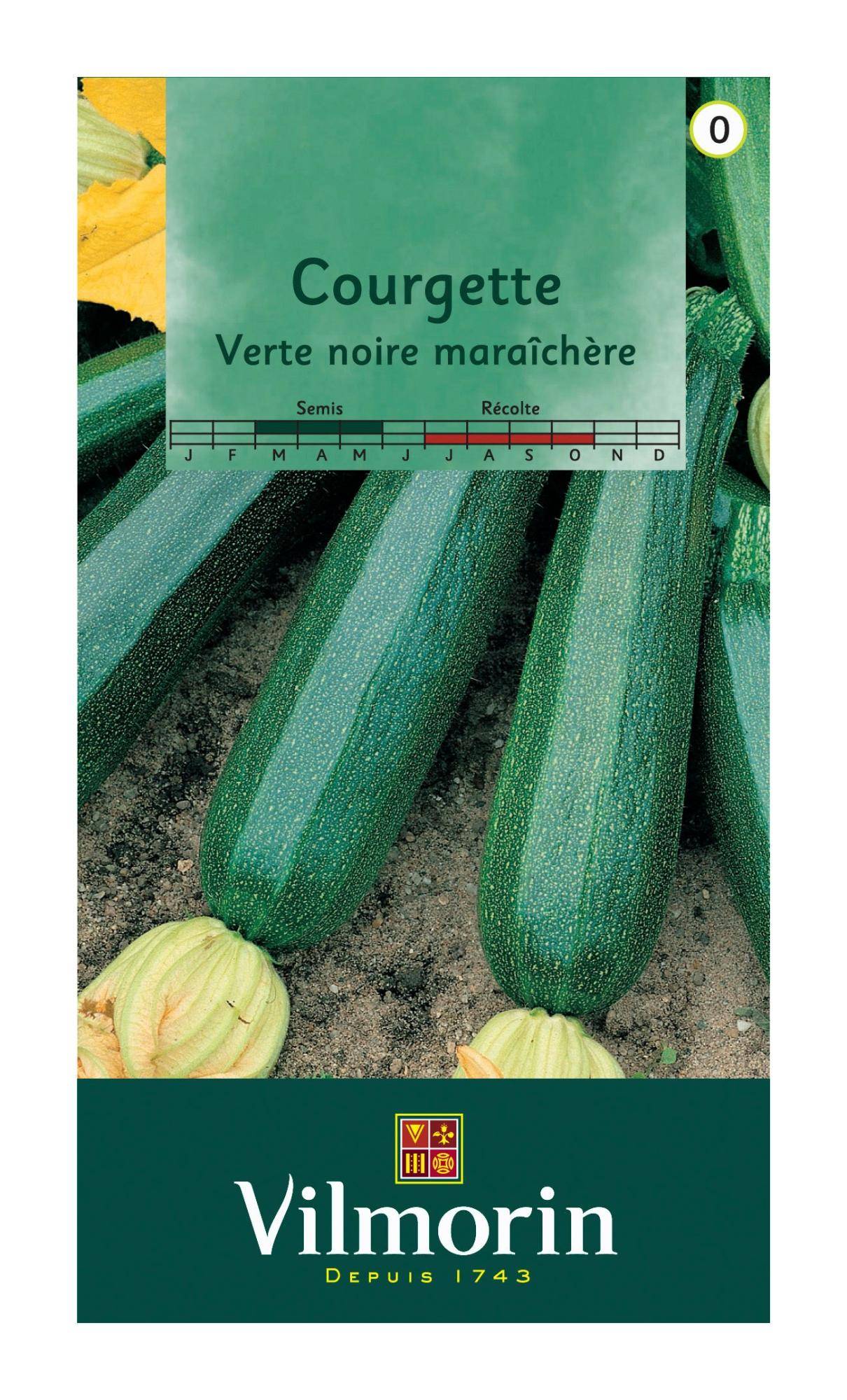 Vilmorin - Courgette verte noire maraichère série 0 sachet graines 4 g - Vilmorin - Image 2