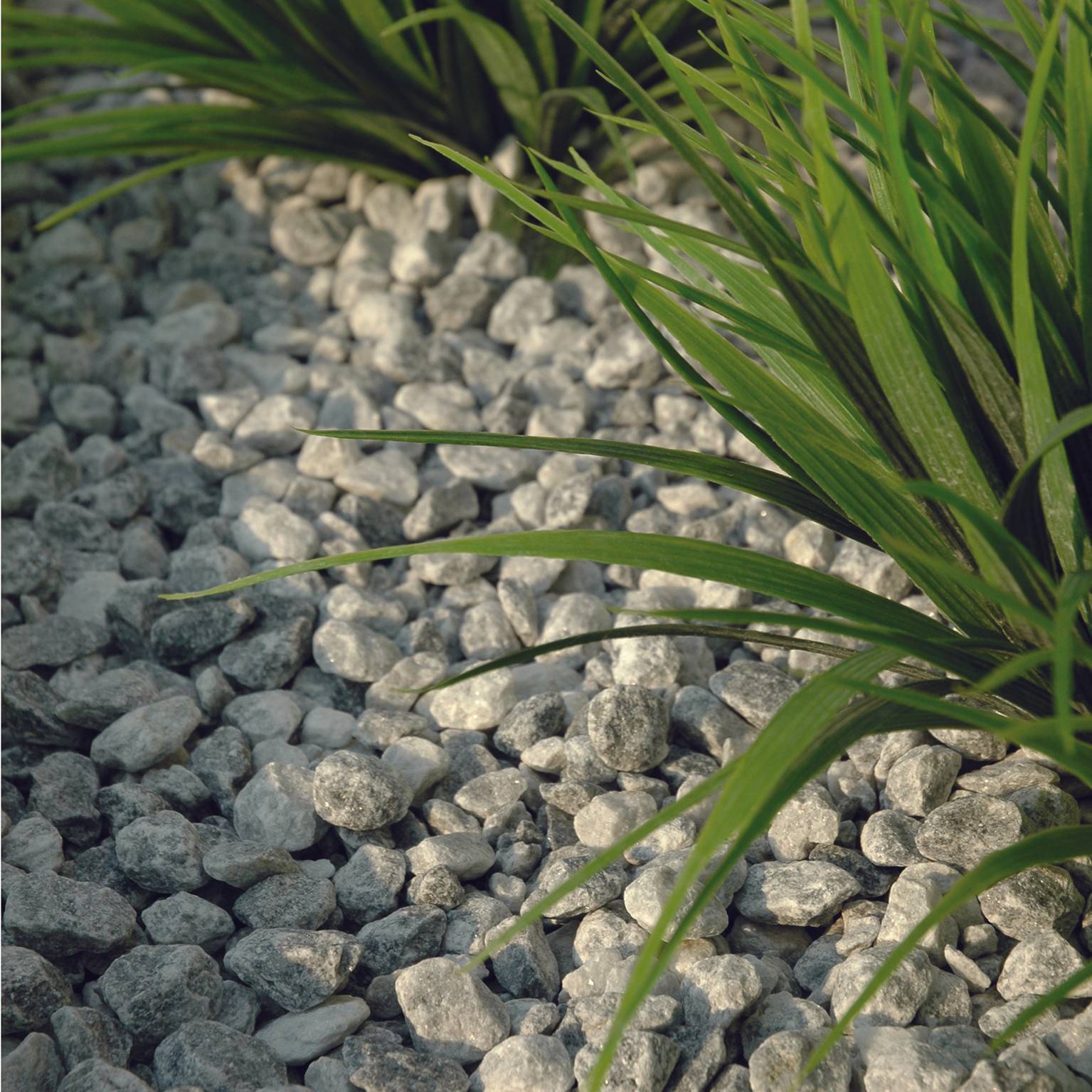 Gravier concassé marbre bleu turquin – MINÉRIALE - Imagen 5