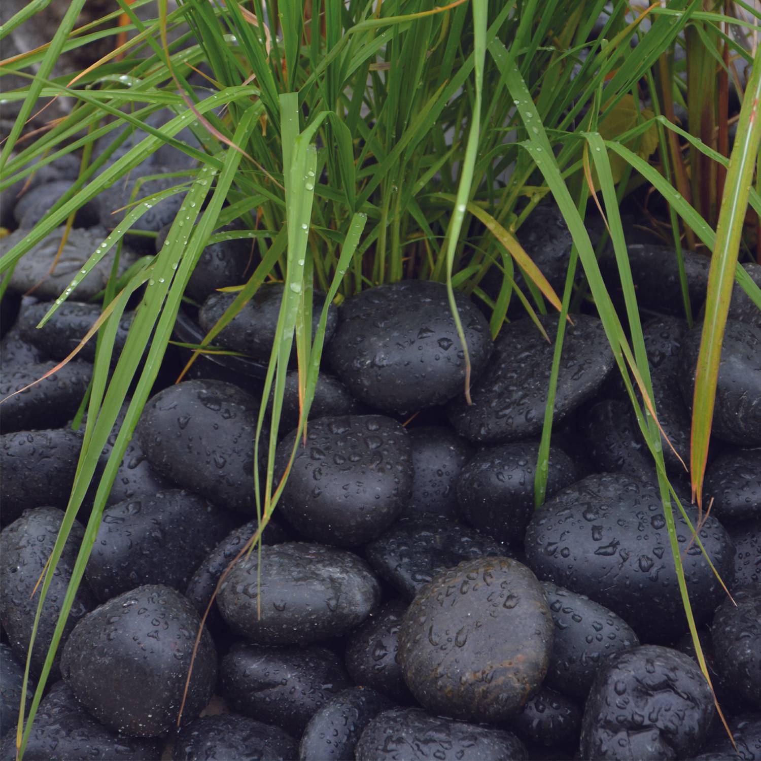 Sac Galet Zen Poli Noir - MINERIALE - Image 3