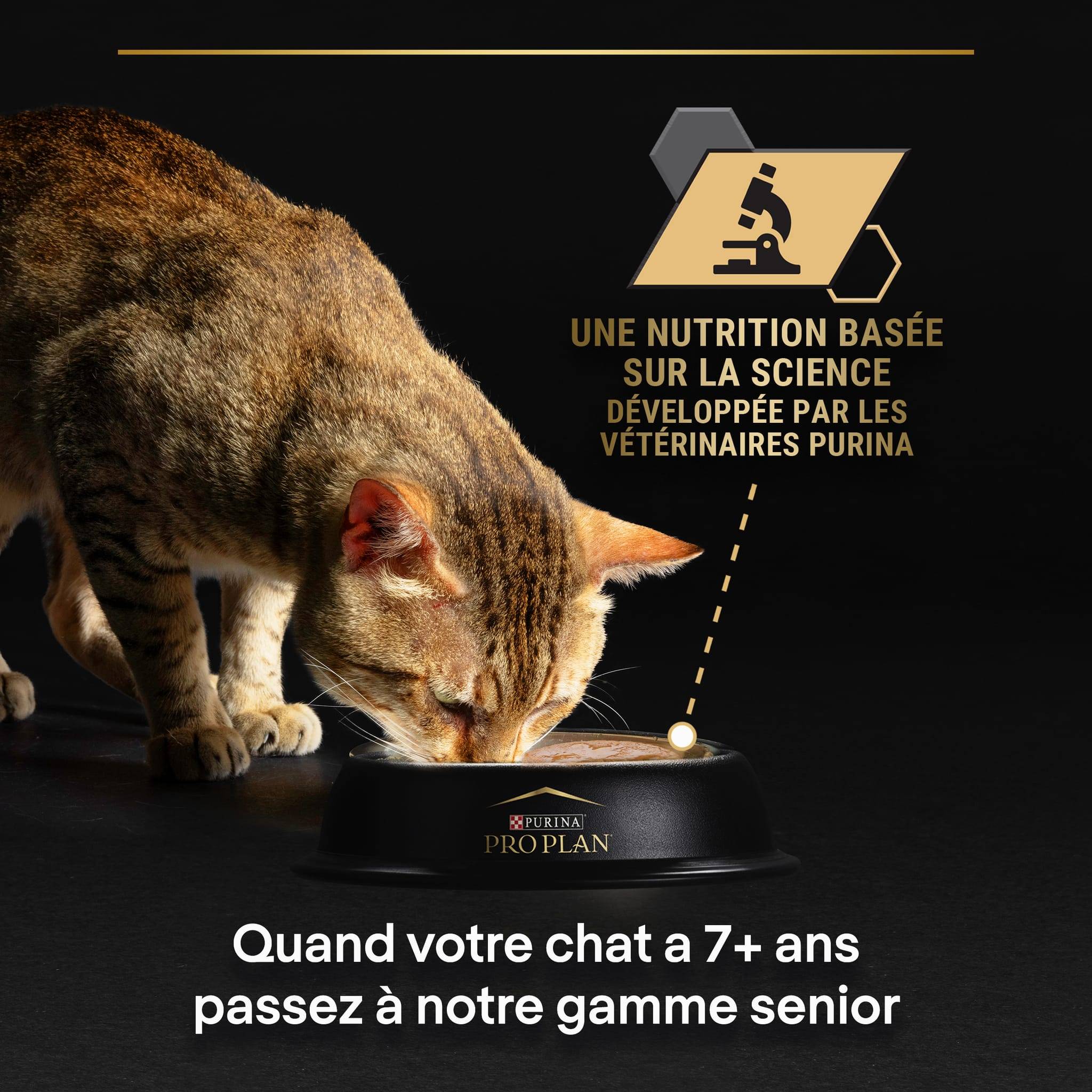 Purina Pro Plan - Pâtée chat Adulte Délicate Dinde 85 g  - PRO PLAN - Image 7