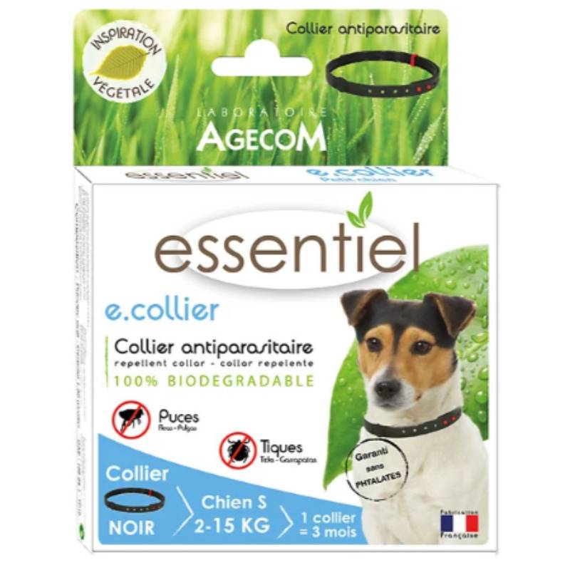 Collier Petit Chien Essentiel - E - Imagen 3