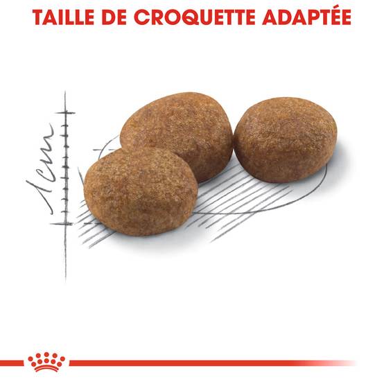 Royal Canin - Croquettes “Regular Sterilised 37” - Royal Canin® - Image 4