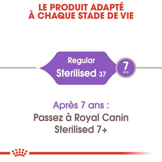 Royal Canin - Croquettes Regular Sterilised 37 - Royal Canin® - Image 5