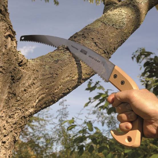 Bahco - Scie Arboricole Modèle 4212 - Image 2
