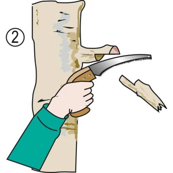 Bahco - Scie Arboricole Modèle 4212 - Image 6