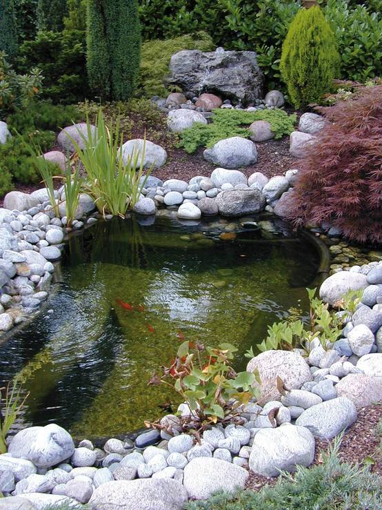 Outside In - Outside In - Kit bassin Start 500 + kit filtration 2000 plus set - Image 2