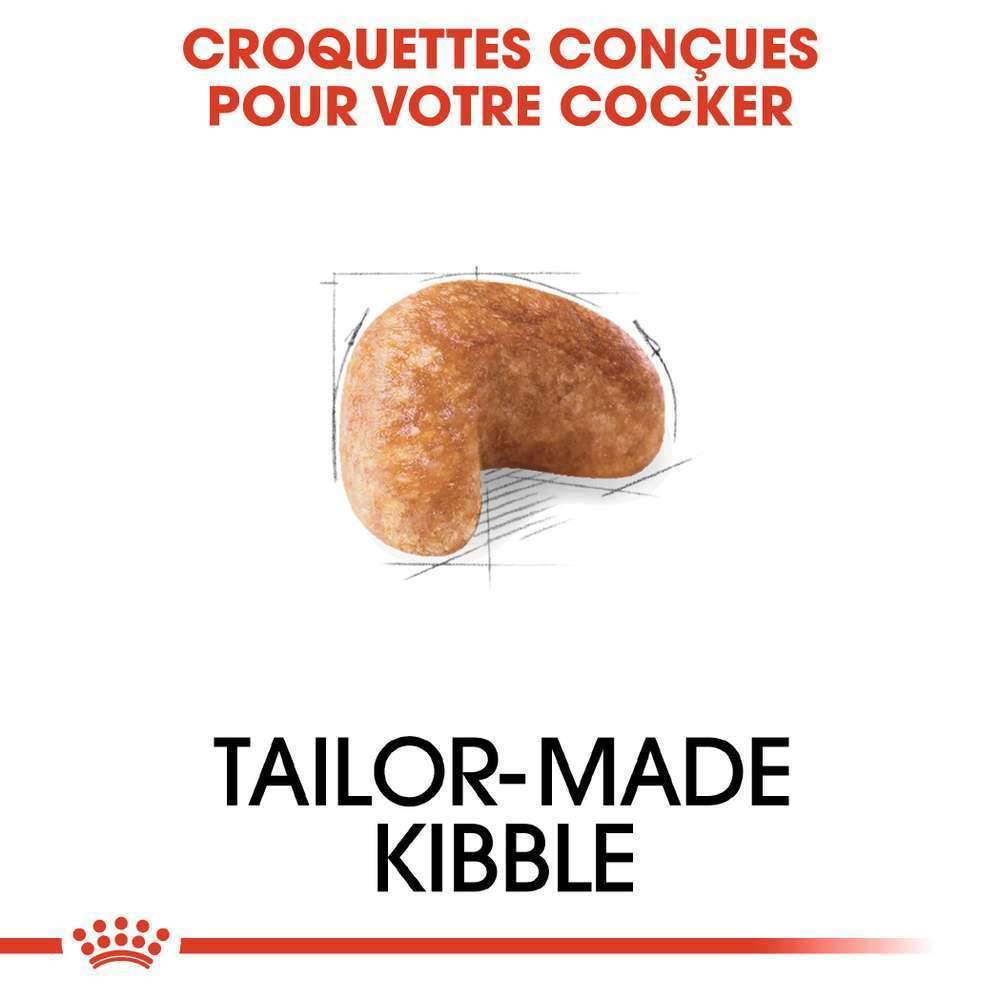 Royal Canin - Croquettes chien Cocker adulte - ROYAL CANIN - Image 8