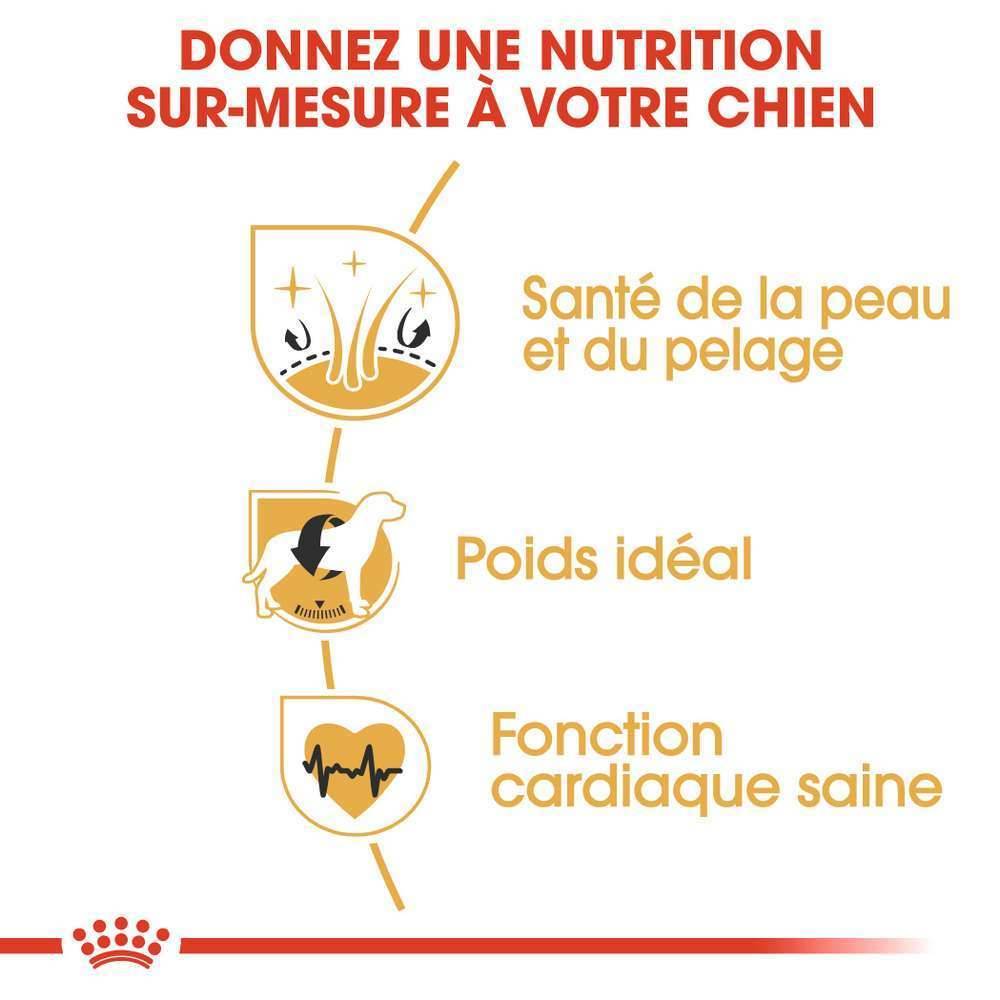Royal Canin - Croquettes chien Cocker adulte - ROYAL CANIN - Image 13