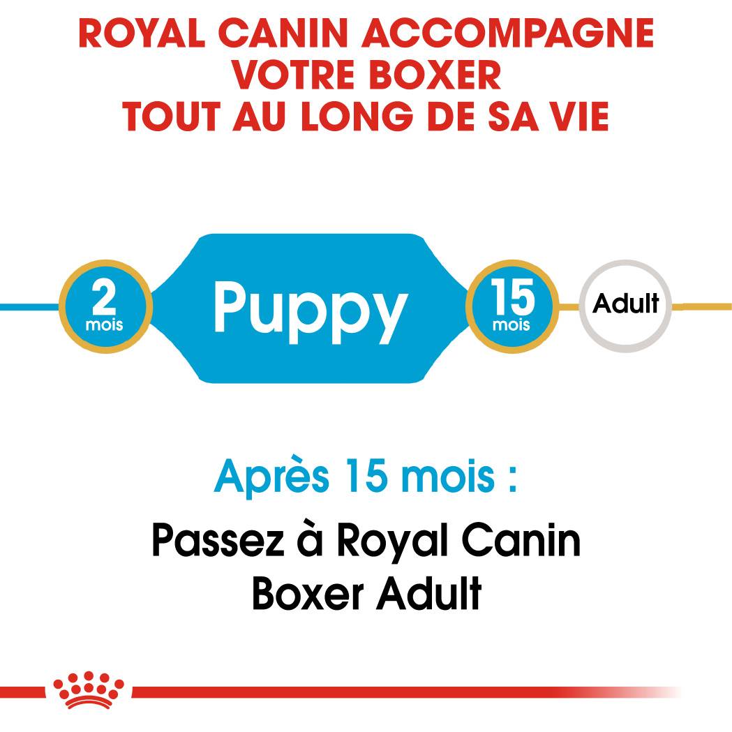 Royal Canin - Royal Canin - Croquettes chiot pour Boxer Junior 12 kg - Image 6