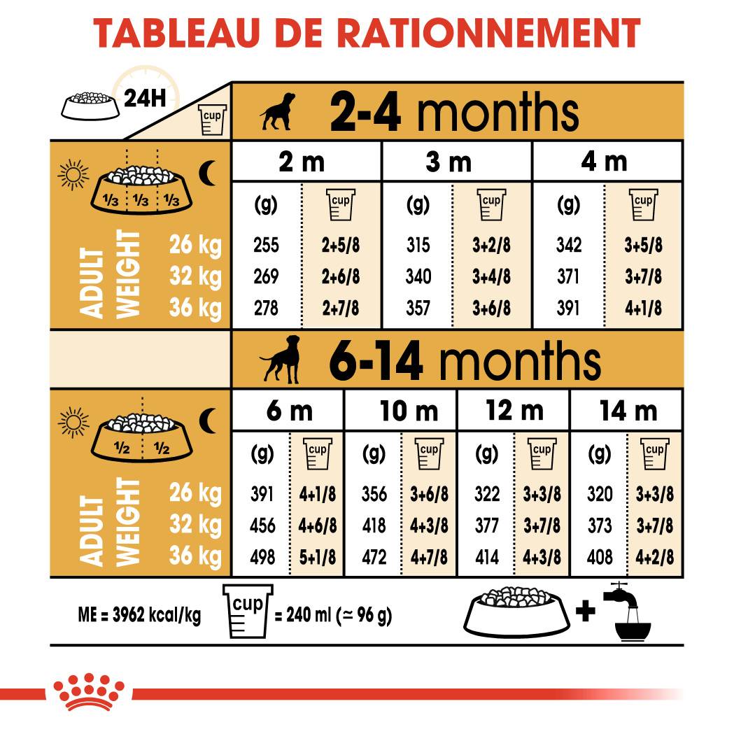 Royal Canin - Royal Canin - Croquettes chiot pour Boxer Junior 12 kg - Image 5