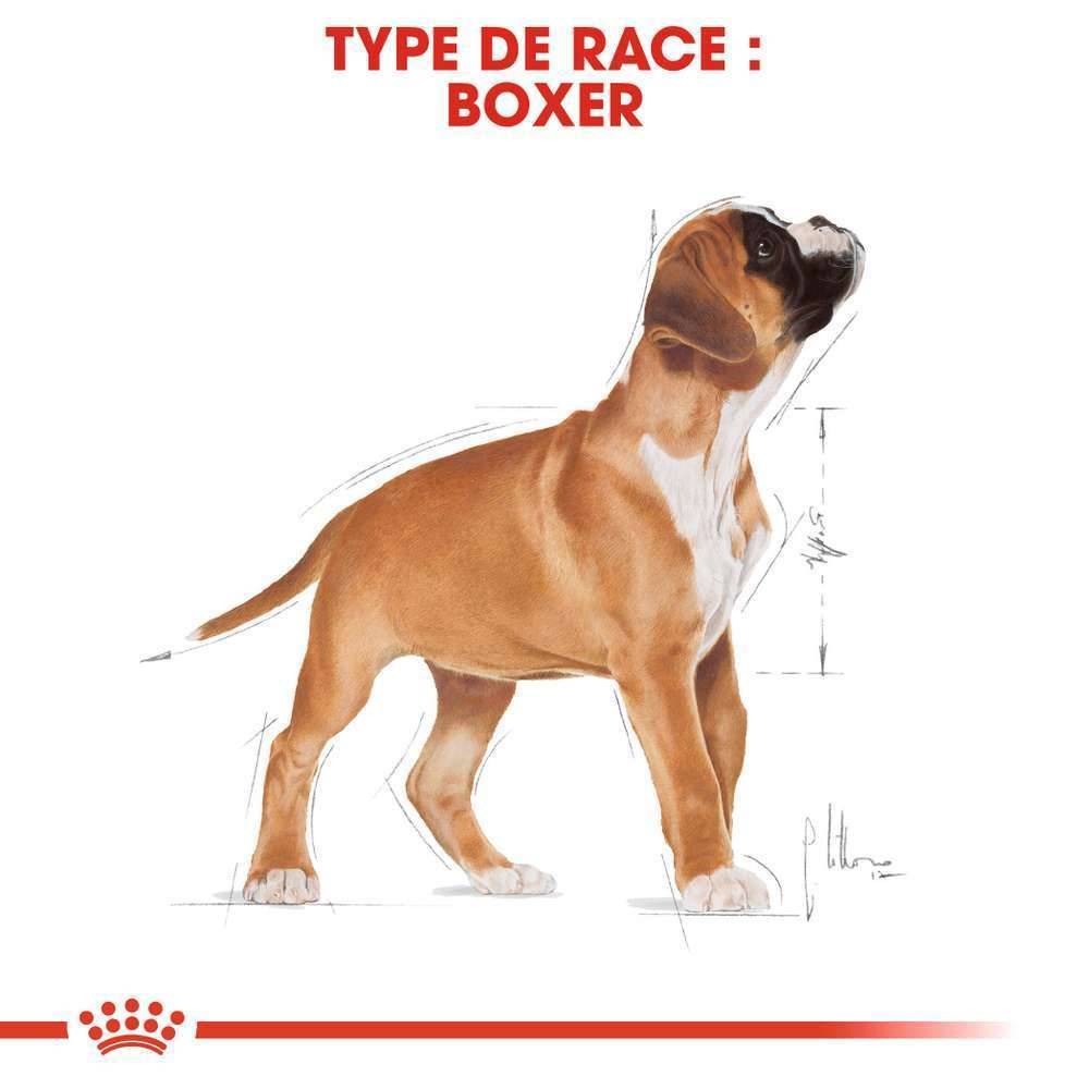 Royal Canin - Royal Canin - Croquettes chiot pour Boxer Junior 12 kg - Image 15
