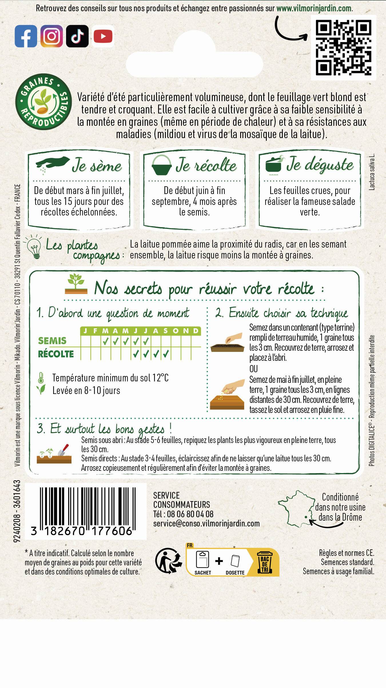 Vilmorin - Laitue Pommée Sagess serie 3 sachet graines 3 g - Vilmorin - Image 3