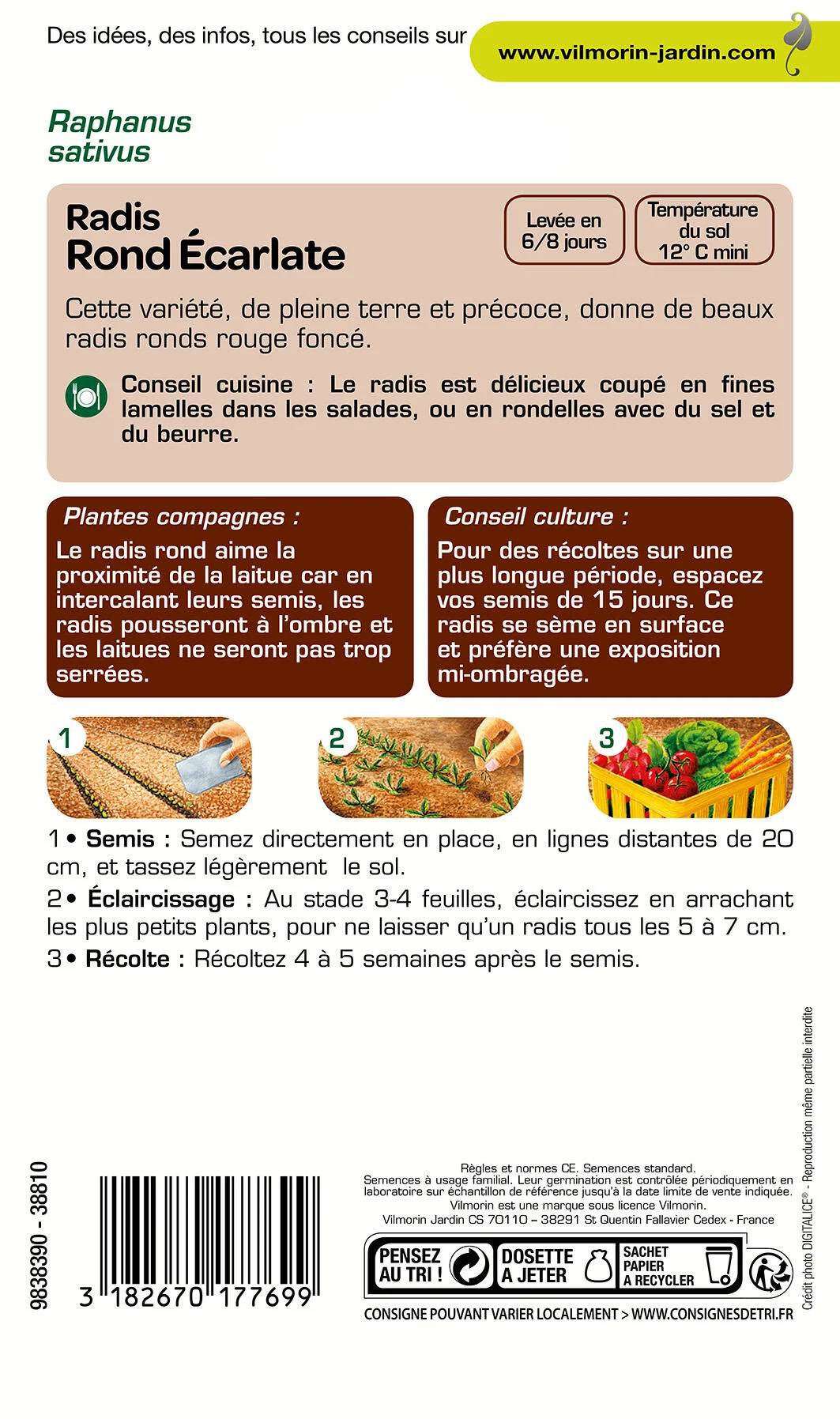 Vilmorin - Radis rond écarlate série 1 sachet graines 10 g - Vilmorin - Image 3
