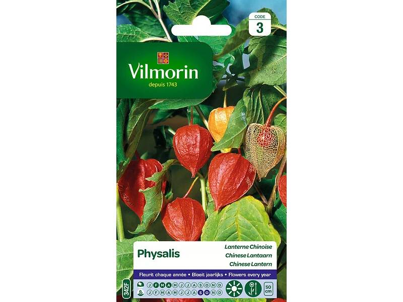 Vilmorin - Physalis lanterne chinoise série 3 sachet graines 1 g - Vilmorin - Image 7