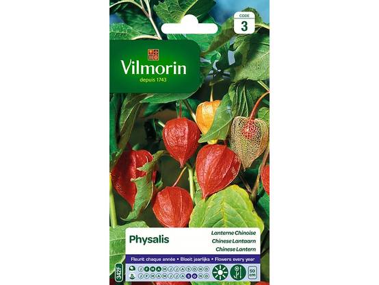Vilmorin - Physalis lanterne chinoise série 3 sachet graines 1 g - Vilmorin - Image 3