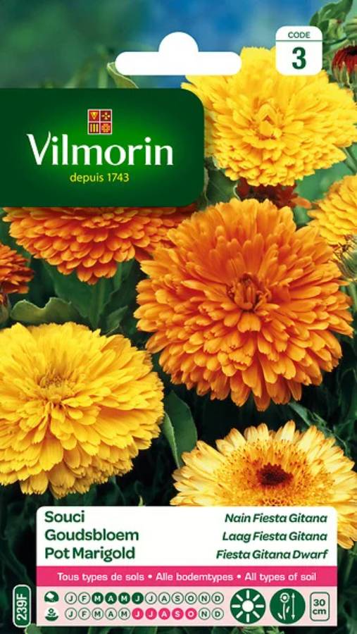 Vilmorin - Souci Nain Fiesta Gitana serie 3 sachet graines 3 g - Vilmorin - Image 2