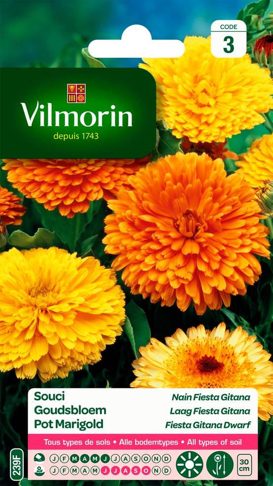 Vilmorin - Souci Nain Fiesta Gitana serie 3 sachet graines 3 g - Vilmorin - Image 2