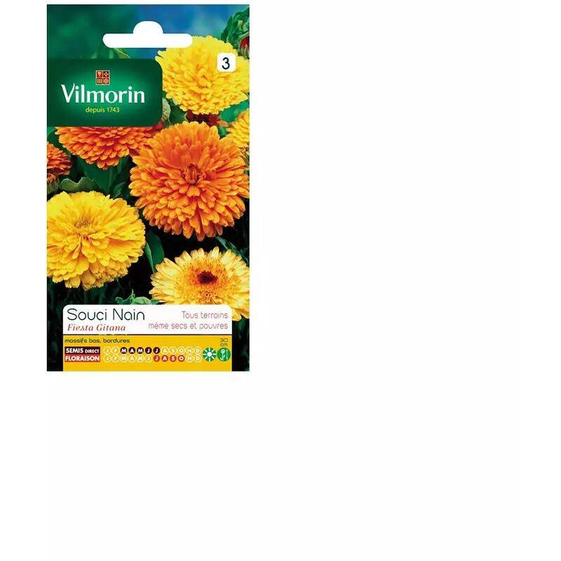 Vilmorin - Souci Nain Fiesta Gitana serie 3 sachet graines 3 g - Vilmorin - Image 4