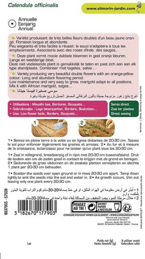 Vilmorin - Souci Nain Fiesta Gitana serie 3 sachet graines 3 g - Vilmorin - Image 5