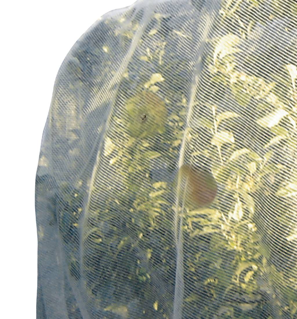 Nortène - PROTECFRUIT Filet spécial verger transparent 5,20x5m - Imagen 1