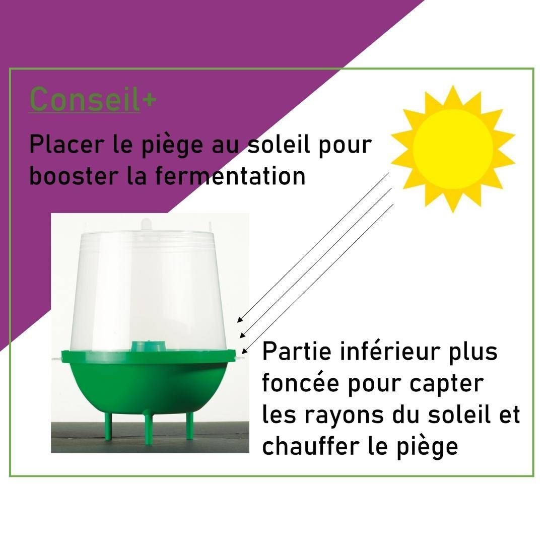 Acto - Attractif guêpes frelons – ACTO - Image 4