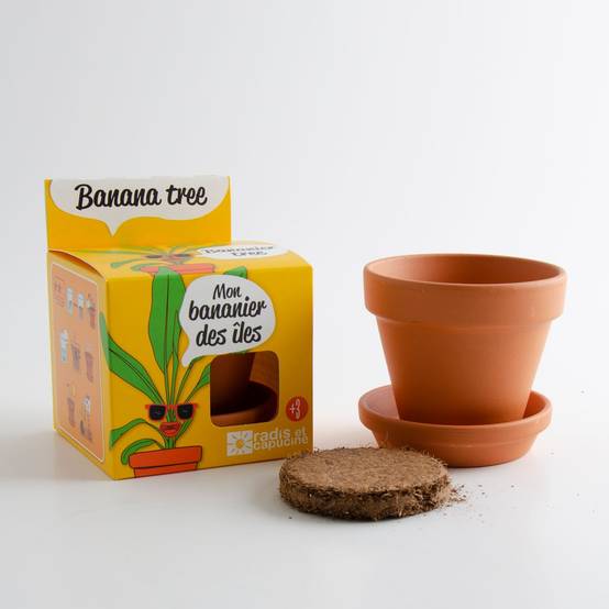 Radis et Capucine - Pot Ø.8 cm avec coupelle Bananier - Radis et Capucine - Image 9
