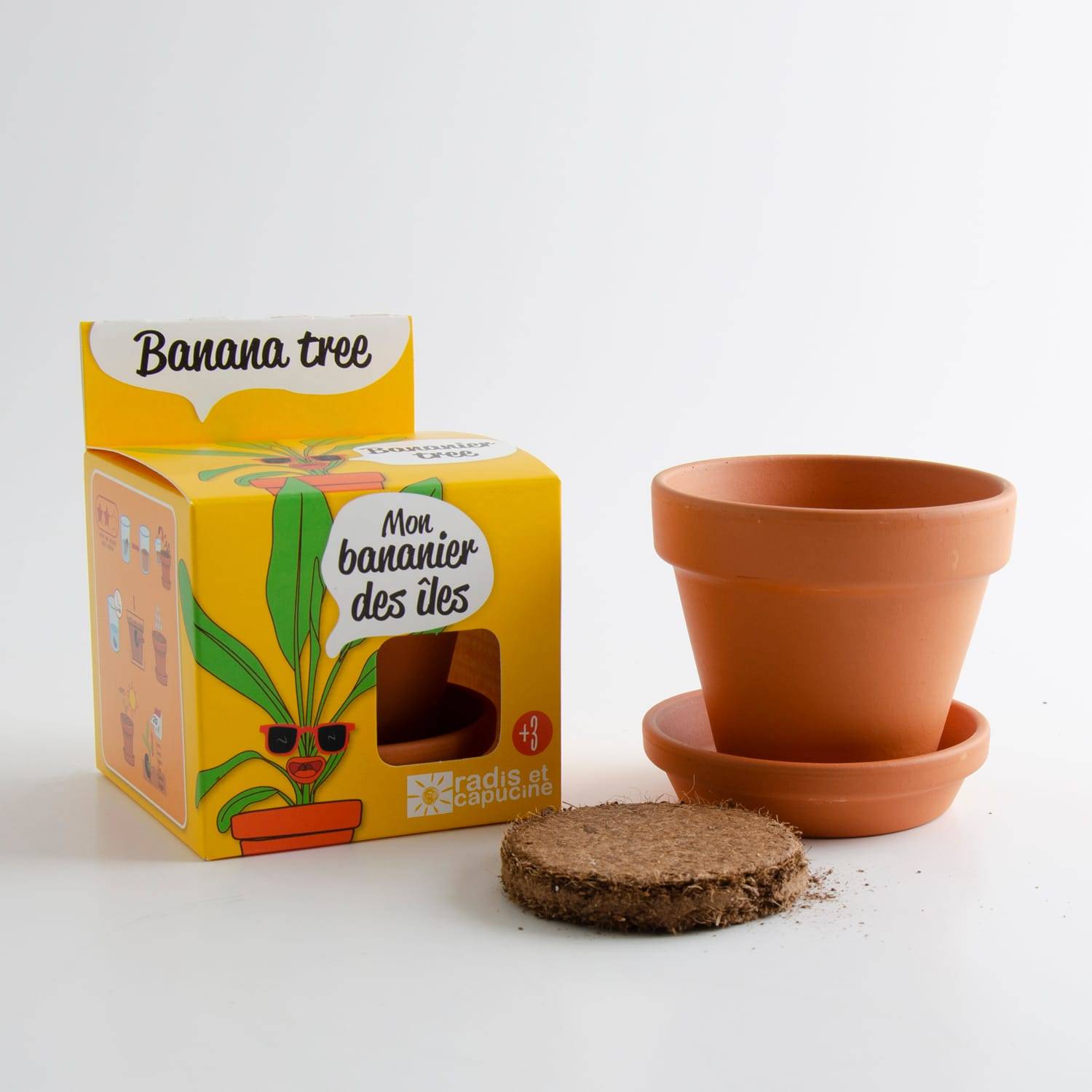 Radis et Capucine - Pot Ø.8 cm avec coupelle Bananier  - Radis et Capucine - Image 9