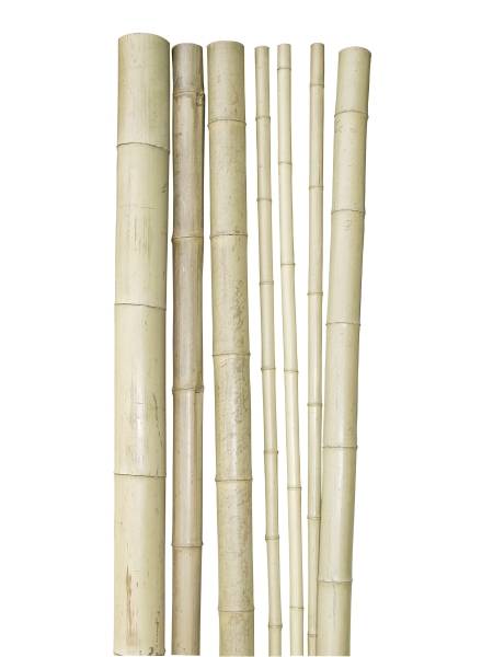 Windhager - Tuteur bambou déco L200 cm ø9 cm - Imagen 3