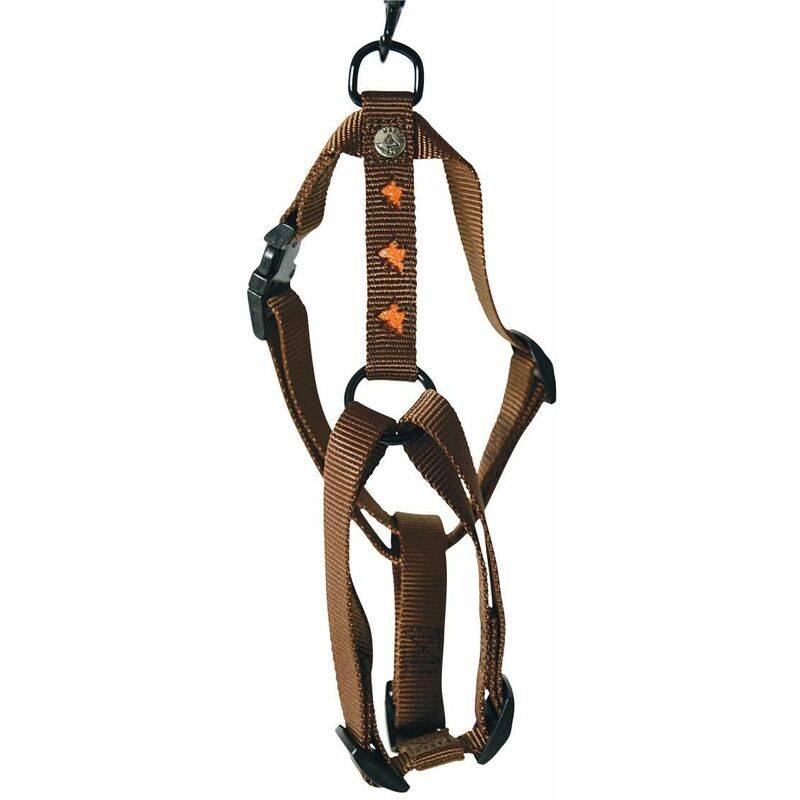 Smooz - Harnais pour chien nylon orange 30-50 cm modèle Papillon – MARTIN SELLIER - Imagen 3