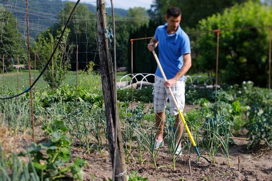 Leborgne - Grattoir Jardin LEBORGNE - Image 7